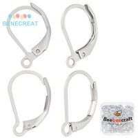 Benecreat 1 Hộp 100 Cái Leverback Bông Tai Phát Hiện Thép Không Gỉ 2 Phong Cách Pháp Bông Tai Móc Có Vòng Để Làm Đồ Trang Sức