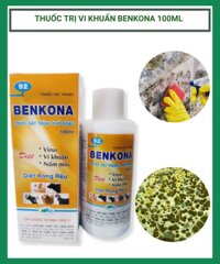 Benkona 100ML – Diệt rong rêu, ngâm giá thể và chất trồng, vệ sinh vườn trồng lan