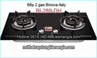 Bếp 2 gas Binova Italy BI-289-DH