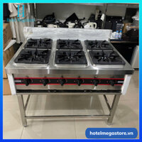 Bếp Âu 6 họng đánh lửa tự động Magneto dùng gas