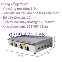 Bếp chiên mặt phẳng thế hệ mới. Dùng gas, 4 họng đốt. Độ dày tấm sắt 12 mm. Kích thước khay nướng 120*50cm