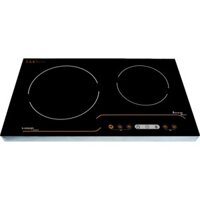 Bếp Điện Đôi Sanko F-Cooker