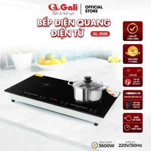 Bếp điện từ đôi Gali GL-2026