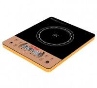 Bếp điện từ đơn Gali GL-2022 - Hàng chính hãng