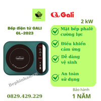 Bếp điện từ đơn Gali GL-2023
