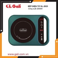 Bếp điện từ Gali