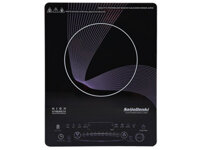 Bếp điện từ PanWorld PW-861