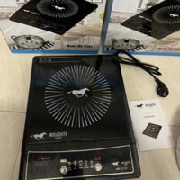 Bếp điện từ Thái Lan Mishusita MS-21107