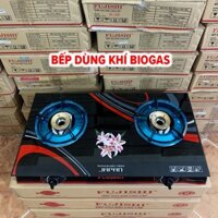 Bếp đôi sử dụng khí BIOGAS chén đồng kính cường lực FUJISHI FJ-BG3