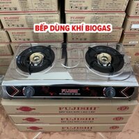 Bếp đôi sử dụng khí BIOGAS chén đồng khung inox FUJISHI FJ-BG8