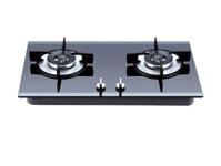 Bêp ga âm Faster FS 213GS