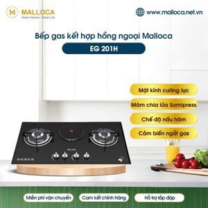 Bếp gas âm Malloca EG-201-H