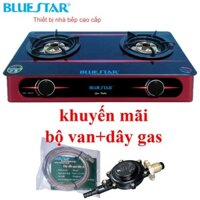 Bếp ga đôi Bluestar NG-6910H, kính cường lực, đánh lửa magneto, bảo hành 2 năm, bếp ga mini / bếp ga đơn / bếp ga âm