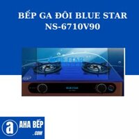 BẾP GA ĐÔI NS-6710V90