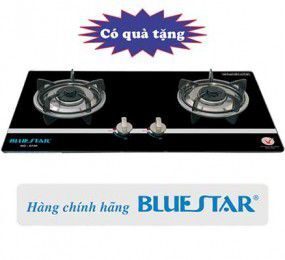 Bếp gas âm Bluestar NG-6730