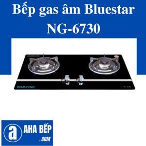 Bếp gas âm Bluestar NG-6730