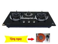 Bếp gas âm EuroSun EU-GA308