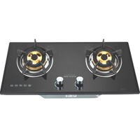 Bếp gas âm faster FS - 217S