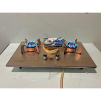 Bếp gas âm lật 10 đầu đốt có hẹn giờ , ngắt gas tự động REDHOME 8222V