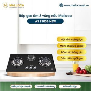 Bếp gas âm Malloca AS9103B New