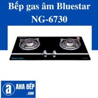 Bếp gas âm NG-6730