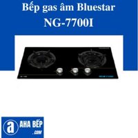 Bếp gas âm NG-7700I