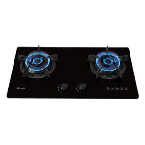 Bếp gas âm Rinnai RVB-220G