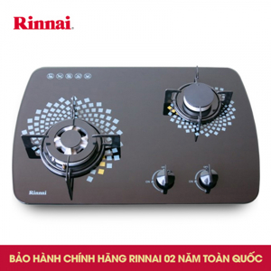 Bếp gas âm Rinnai RVB-6SDR