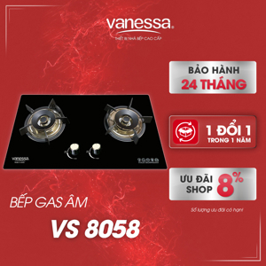 Bếp gas âm Vanessa VS8038