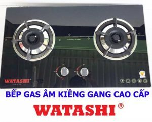 Bếp gas âm Watashi BA-08