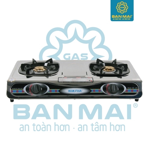 Bếp gas Bluestar NS-470S/F