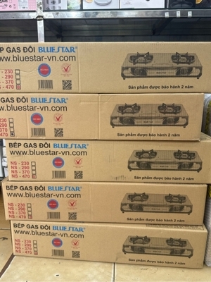 Bếp gas Bluestar NS-470S/F