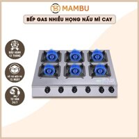 Bếp gas chuyên dùng nấu mỳ cay, cơm niêu, bánh xèo - Bếp ga 6 cửa - 6 họng