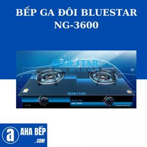 Bếp gas đôi Bluestar NG-3600