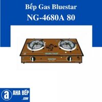 Bếp gas đôi Bluestar NG-4680A 80