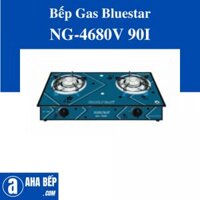 Bếp gas đôi Bluestar NG-4680V 90I