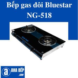 Bếp gas đôi Bluestar NG-518