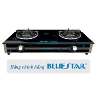 Bếp gas đôi Bluestar NG-5950H