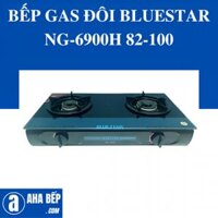 Bếp gas đôi Bluestar NG-6900H 82-100