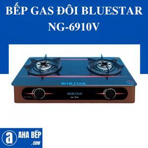 Bếp gas đôi Bluestar NG-6910V