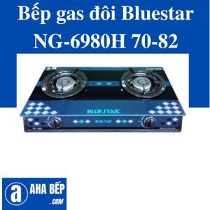 Bếp gas đôi Bluestar NG-6980H