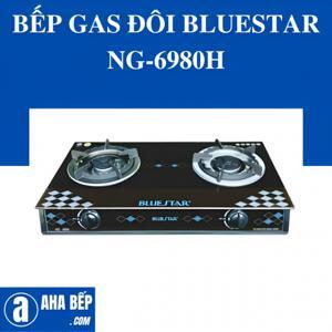 Bếp gas đôi Bluestar NG-6980H