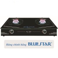 Bếp gas đôi Bluestar NG-6980I