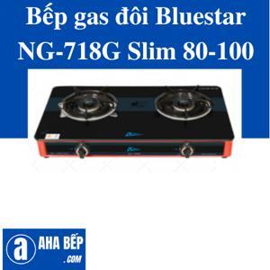 Bếp gas đôi Bluestar NG-718G Slim
