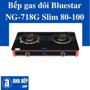 Bếp gas đôi Bluestar NG-718G Slim