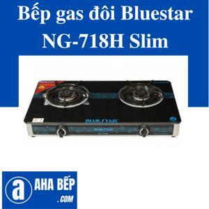 Bếp gas đôi Bluestar NG-718H Slim