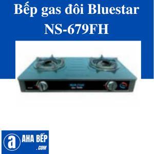 Bếp gas đôi Bluestar NS-679FH