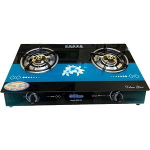 Bếp gas đôi eBlue EBB313