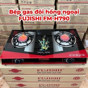 Bếp gas Fujishi FM-H790-HN - Bếp đôi