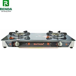 Bếp gas đôi Hayasa HA-8010